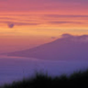 Meet your Posher, Marie